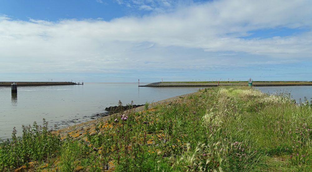 Haven Harlingen (Waddenzee)